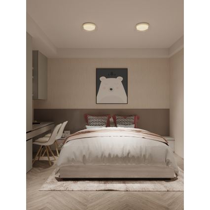 MAXLIGHT C0233 - Стельовий LED світильник DUO LED/10W/230V діаметр 34 см білий