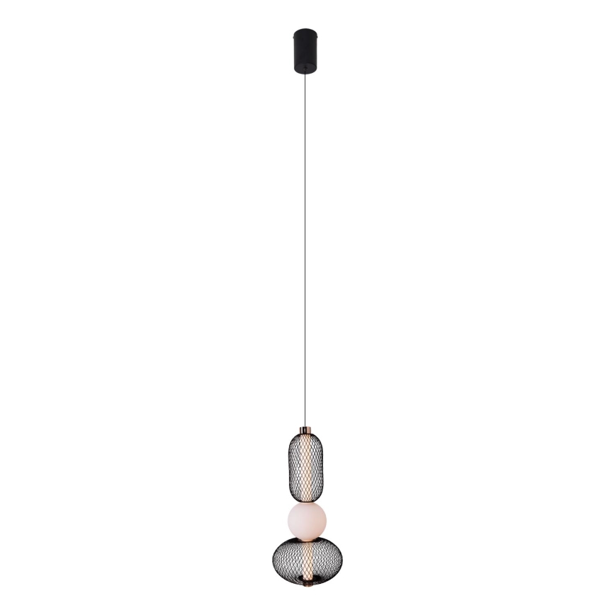 MAXLIGHT P0591 - Світлодіодна підвісна люстра BORA LED/10W/230V діаметр 22 cm білий/чорний
