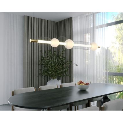 MAXLIGHT P0593 - Світлодіодна підвісна люстра BORA LED/29W/230V білий/чорний