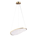 MAXLIGHT P0637D - LED-люстра на тросі EMPIRE LED/17W/230V золота
