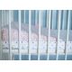 MOTHERHOOD - Ортопедична подушка 60x45 см, 0-6 місяців рожевий