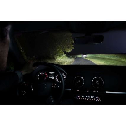 НАБІР 2x Автомобільна лампа Philips RACINGVISION 12342RVS2 H4 P43t-38/55W/12V