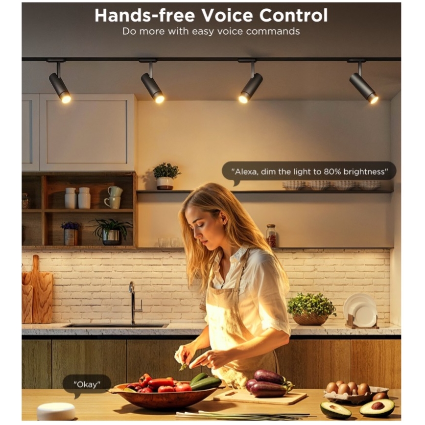 НАБІР 2x LED RGBWW Лампочка з регулюванням яскравості E14/5W/230V 2700-6500K Wi-Fi - Govee