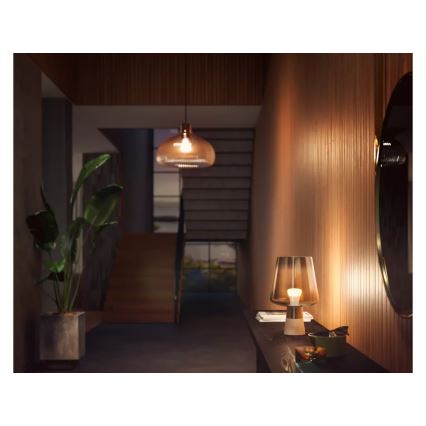 Набір із 2 регульованих світлодіодних лампочок Philips Hue WHITE E27/9,5W/230V 2700K