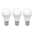 НАБОР 3x Светодиодная лампочка ECOLINE A60 E27/15W/230V 6500K - Brilagi