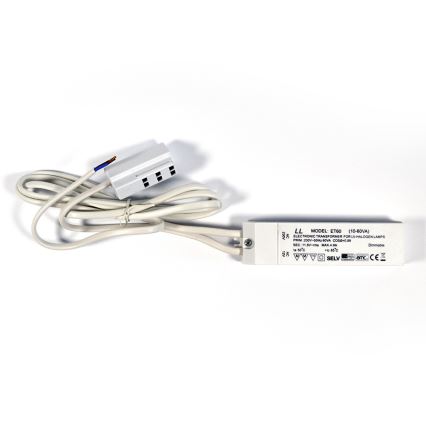 НАБОР 3x Точечный светильник PYRAMID 3xG4/20W/230V/12V