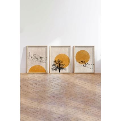 Набор из 3 картин в фоторамке 50x70 cm, бежевый/оранжевый