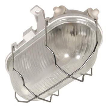 Наружный потолочный светильник RADUS 1xE27/60W/230V IP54 белый