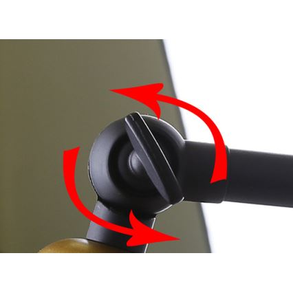 Настенная лампа FUNDO 1xE27/40W/230V черный/золотой