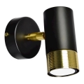 Настенный прожектор DANI 1xGU10/8W/230V