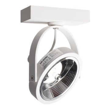 Настенный прожектор LUGAR 1xAR111 - GU10/25W/230V