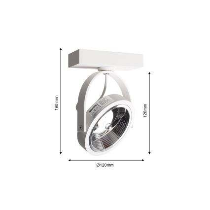 Настенный прожектор LUGAR 1xAR111 - GU10/25W/230V