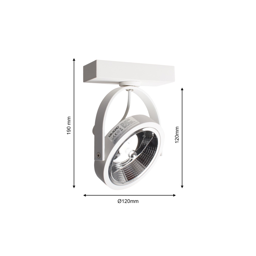 Настенный прожектор LUGAR 1xAR111 - GU10/25W/230V