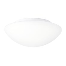 Настенный/потолочный светильник для ванной комнаты ASPEN 1xE27/60W/230V IP44
