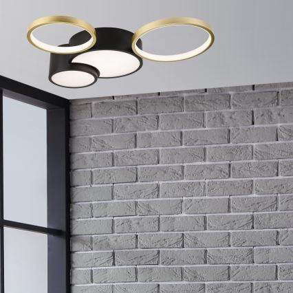 Настенно-потолочный светильник с диммером ALIZEE LED/30W/230V 3000-6500K черный/золотой