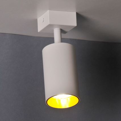 Настенный точечный светильник MARIBEL 1xGU10/10W/230V белый