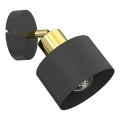Настенный точечный светильник PARKLA 1xE27/15W/230V черный/золотой