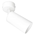 Настенный точечный светильник ANGIE 1xGU10/35W/230V белая