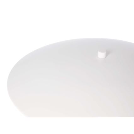 Настільна LED лампа LUND LED/10,5W/230V білий