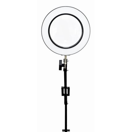 Настільна LED лампа з регулюванням яскравості з лупою LED/10W/230V 3000/4500/6000K