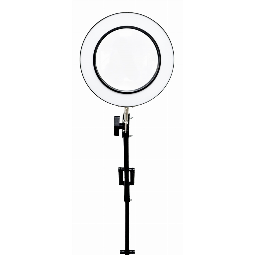 Настільна LED лампа з регулюванням яскравості з лупою LED/10W/230V 3000/4500/6000K