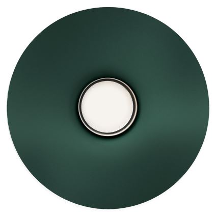 Настінна лампа CAPITAL 1xGX53/15W/230V зелена