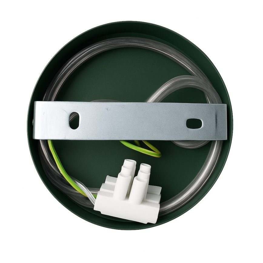 Настінна лампа CAPITAL 1xGX53/15W/230V зелена