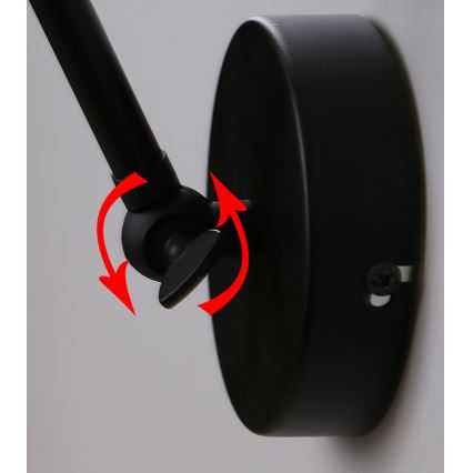 Настінна лампа FUNDO 1xE27/40W/230V чорна/золота