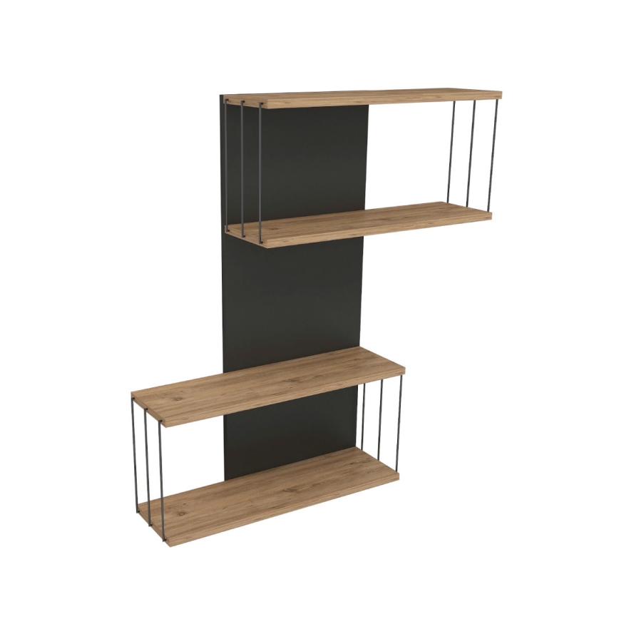 Настінна полиця DESTAN 65x96x19 см антрацитна/коричнева