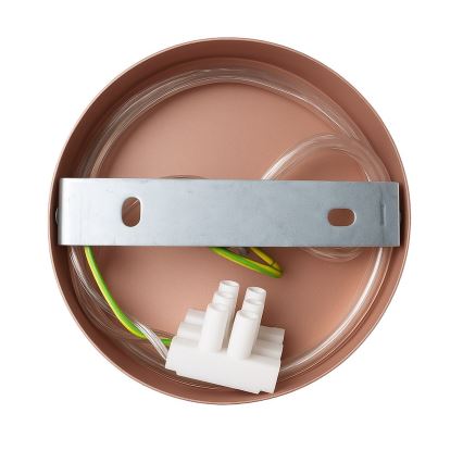 Настінний світильник CAPITAL 1xGX53/15W/230V рожеве золото