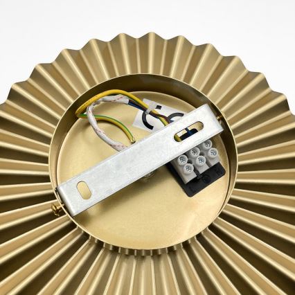 Настінний світильник CHITA 1xG9/5W/230V золотистий
