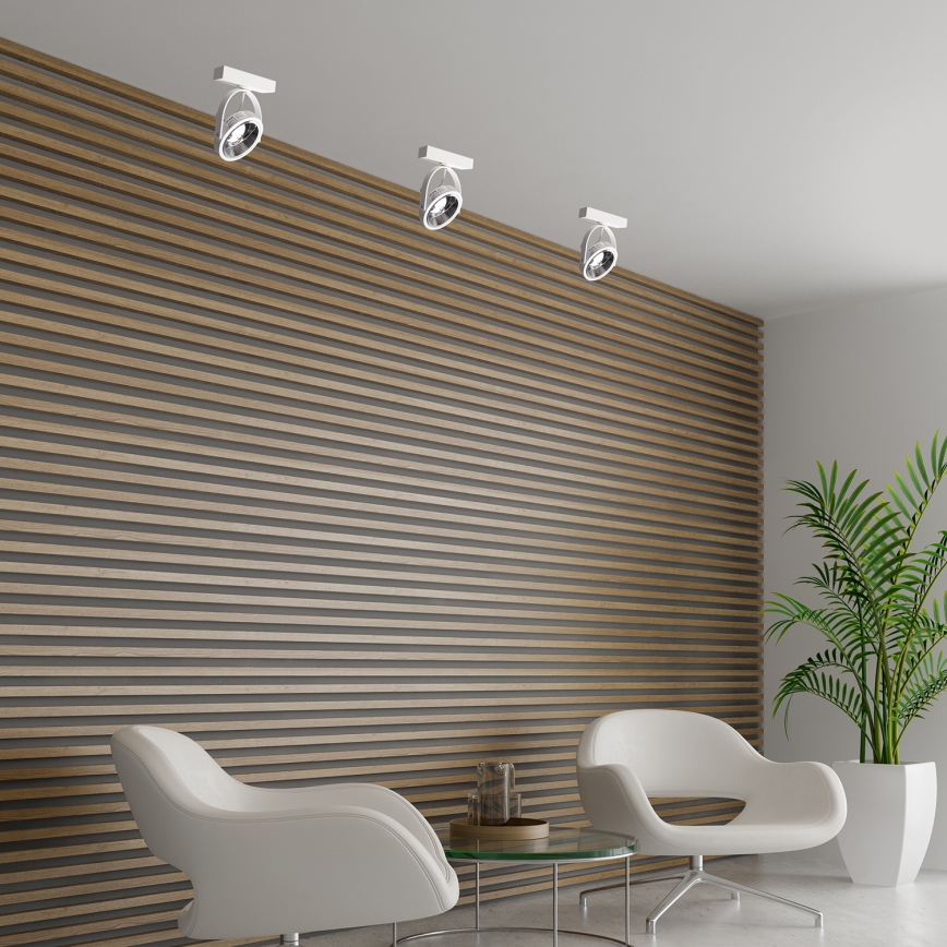 Настінний точковий світильник LUGAR 1xAR111 - GU10/25W/230V