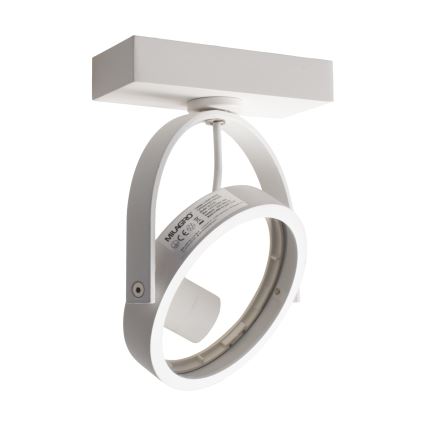 Настінний точковий світильник LUGAR 1xAR111 - GU10/25W/230V