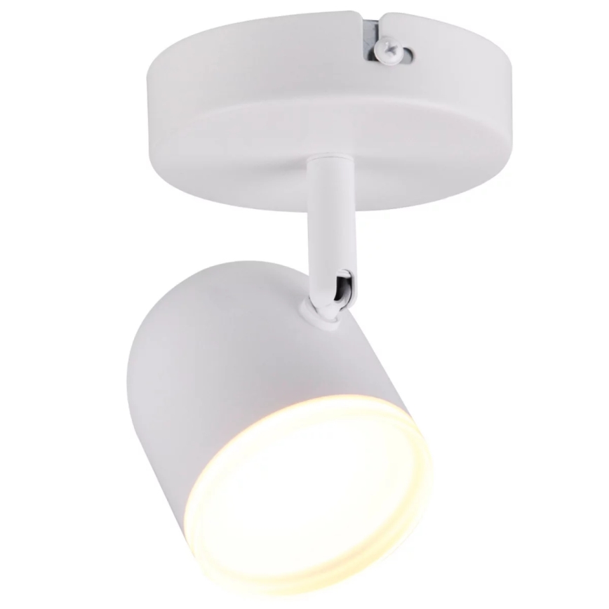 Настінний точковий LED світильник RAWI LED/4,2W/230V білий