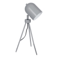 Настольная лампа TABLE LAMPS 1xE27/60W/230V