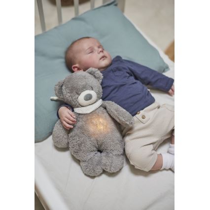 Nattou - Іграшка-комфортер з мелодією і світлом SLEEPY BEAR 4в1 сірий