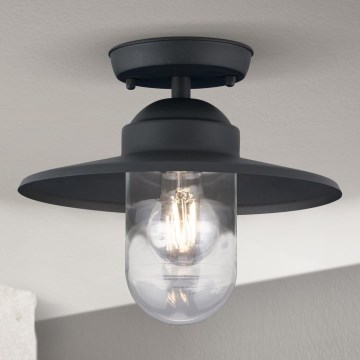 Накладная потолочная уличная люстра EDWARD 1xE27/60W/230V IP44 антрацит