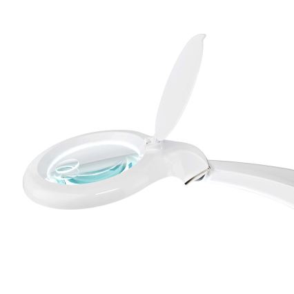 Настільна LED лампа з лупою LED/6,5W/230V 6500K