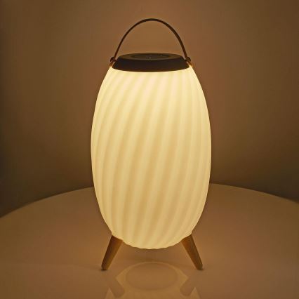 LED RGB Акумуляторна настільна лампа з динаміком 60W/2200 mAh IPX5