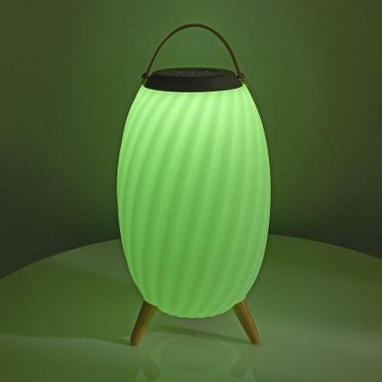 LED RGB Акумуляторна настільна лампа з динаміком 60W/2200 mAh IPX5
