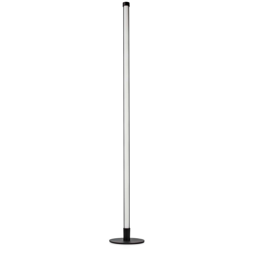 LED RGBIC Торшер з регулюванням яскравості Smartlife LED/10W/230V 100,5 см 2700-6500K Wi-Fi Tuya + пульт дистанційного керування