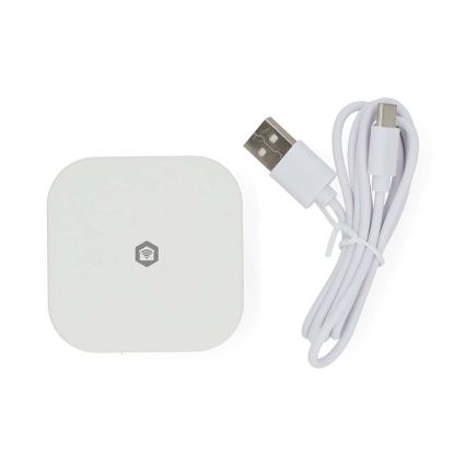 Розумний шлюз SmartLife 5V Wi-Fi