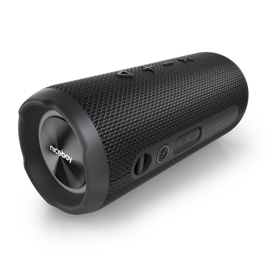 Niceboy Nexus - Светодиодная беспроводная колонка с микрофоном 26W/4000 mAh IPX6 черный