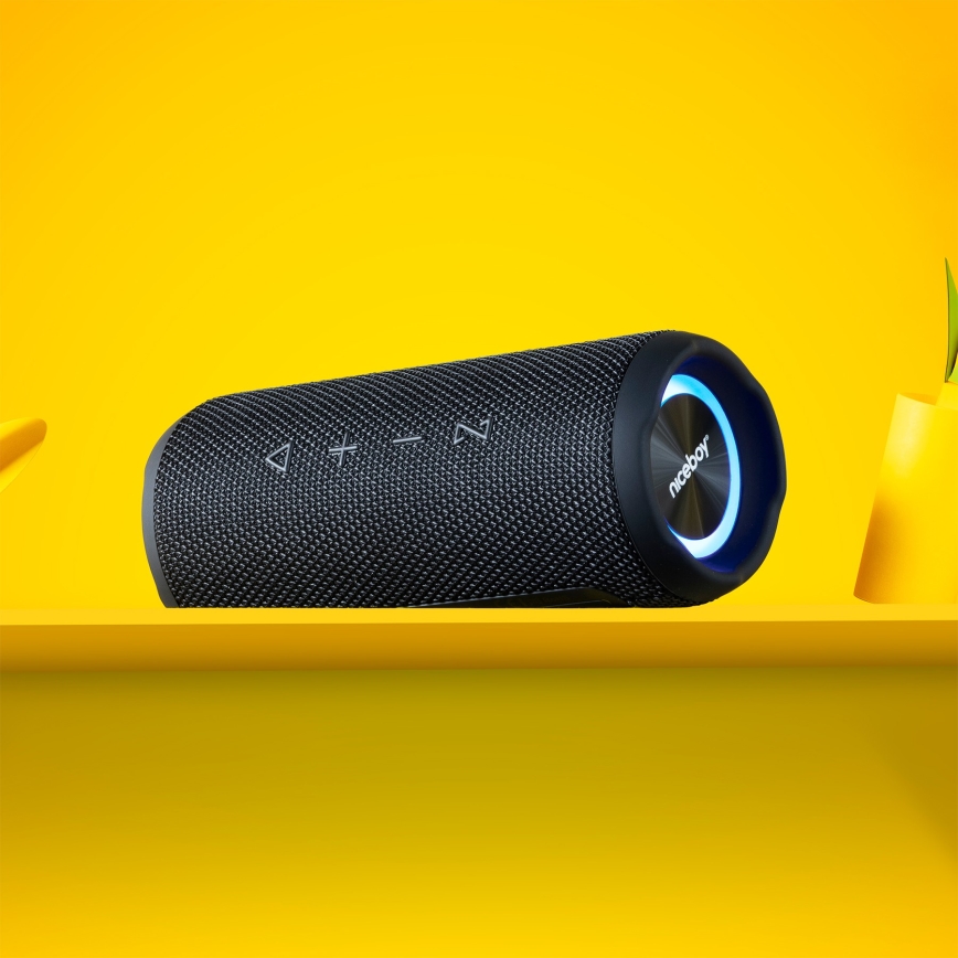 Niceboy Nexus - Светодиодная беспроводная колонка с микрофоном 26W/4000 mAh IPX6 черный
