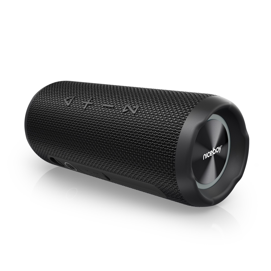 Niceboy Nexus - Светодиодная беспроводная колонка с микрофоном 26W/4000 mAh IPX6 черный