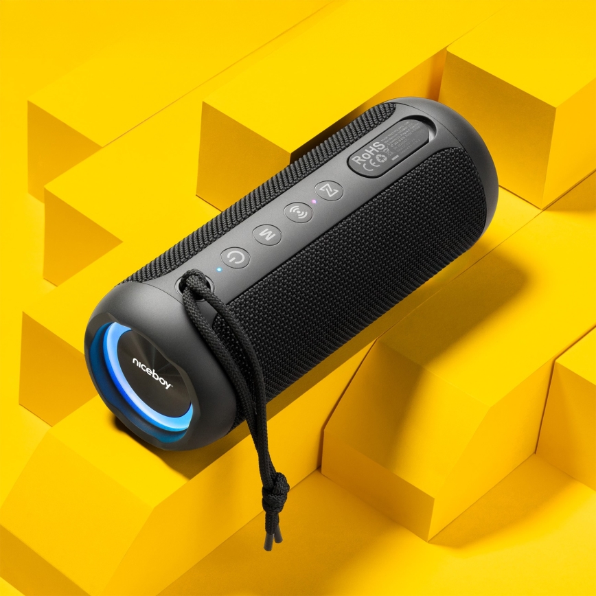 Niceboy Polaris - Светодиодная беспроводная колонка с микрофоном 30W/2000 mAh IPX7 черный