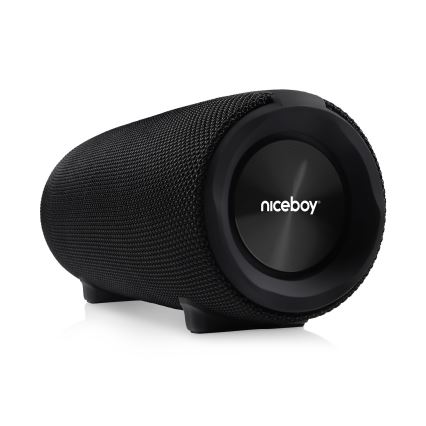 Niceboy Titan 4 - LED Безпровідний динамік з мікрофоном і функцією powerbanky 50W/4000 mAh IPX7 чорний