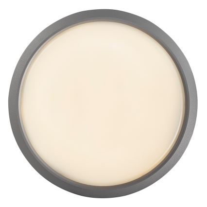 Nordlux - LED Вуличний настінний світильник з регулюванням яскравості AVA SMART LED/9,5W/230V 2700K IP54 сірий