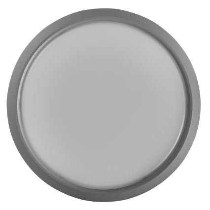 Nordlux - LED Вуличний настінний світильник з регулюванням яскравості AVA SMART LED/9,5W/230V 2700K IP54 сірий