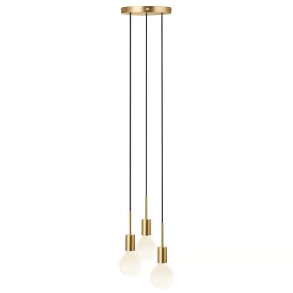 Nordlux - Люстра на тросе PACO 3xE27/25W/230V латунь